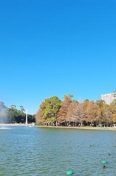 赫曼公园-休斯敦