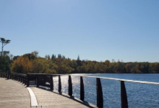 Wilcox Lake景点图片