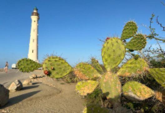 California Lighthouse景点图片