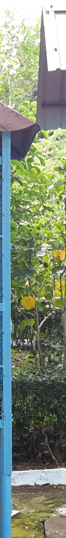 Dong Tam Snake Farm-周城县