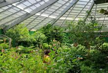The Butterfly Place景点图片