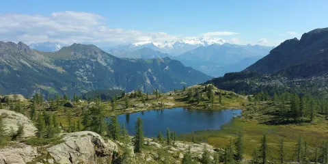 Natural Park Mont Avic