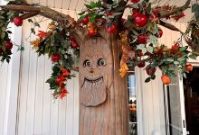 Huber's Orchard & Winery景点图片