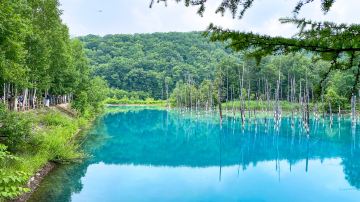 Shirogane Blue Pond (Aoiike)