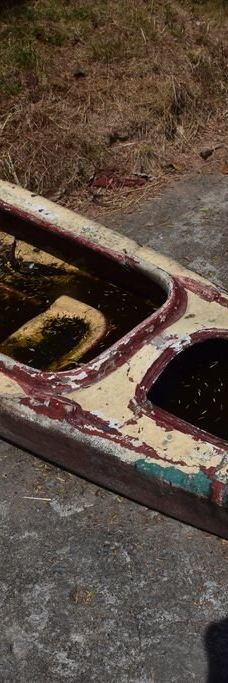 千手观音庙-苏梅岛