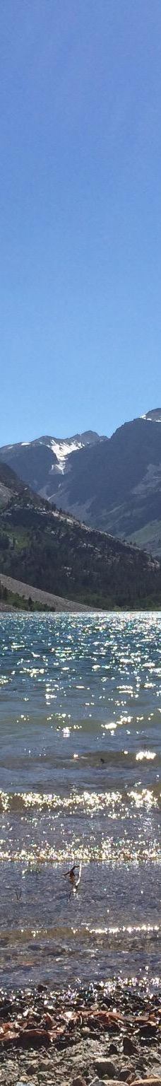 Lundy Lake-莫诺县