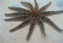 Sapphire Coast Marine Discovery Centre景点图片