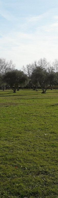 Parc Exflora-昂蒂布