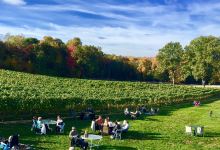 Lost Acres Vineyard景点图片