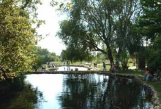 Cold Springs Trout Farm景点图片
