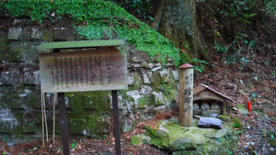 珍布山口