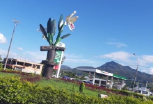 Agro Oriente Viveros景点图片