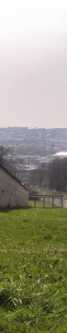 Wilhelmsburg-乌尔姆