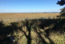 Moses Creek Conservation Area景点图片