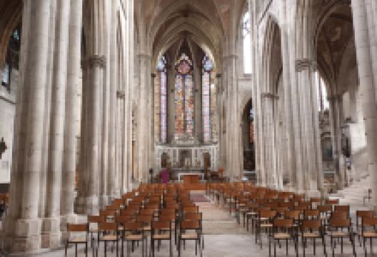Collégiale Saint-Gengoult景点图片