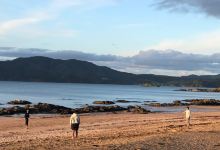 Coopers Beach景点图片