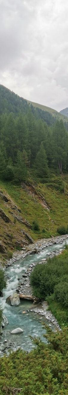 Cascata della Val Nera-利维尼奥