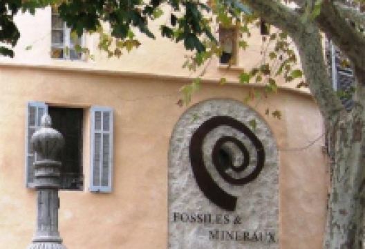 Musée Fossiles et Minéraux景点图片