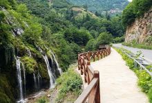 Kuzalan Tabiat Parki景点图片