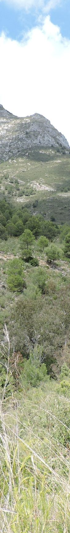 Fuente del Esparto-内尔哈