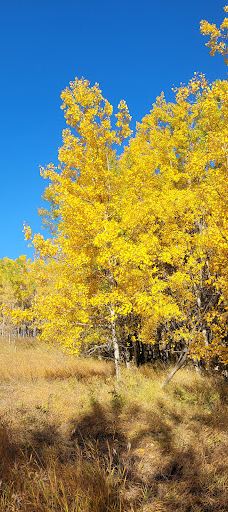 South Glenmore Park-卡尔加里