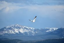 Moose-Goose Nature Trail景点图片