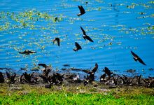 Lucerne Harbor Park | Lake County Parks景点图片