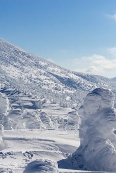 八甲田连峰树冰-青森