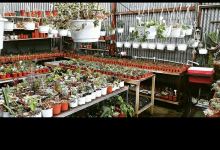 Vivero Skygarden景点图片