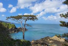 Le Pied du Mûr (Marble Bay)景点图片