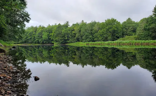 Cookville Provincial Park