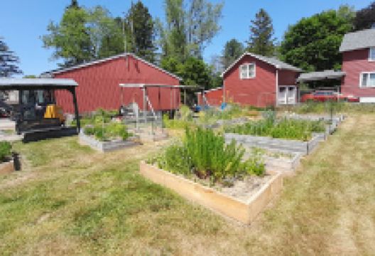 Community garden景点图片