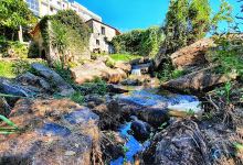Parque dos Moinhos景点图片