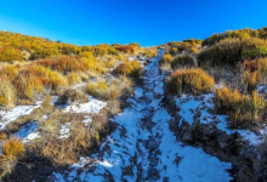 Trig 'M'景点图片