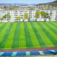 斯拉维扬卡图片