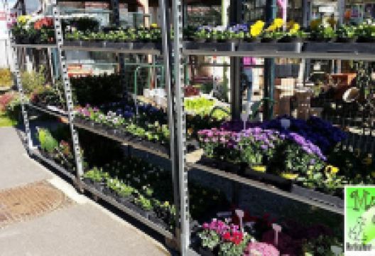 Mise Ô Vert购物图片