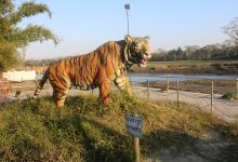 Amaltari madhwarti communitee homestay Nawalparasi景点图片