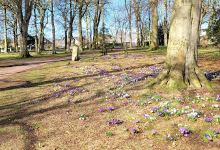 Carnoustie House Grounds景点图片