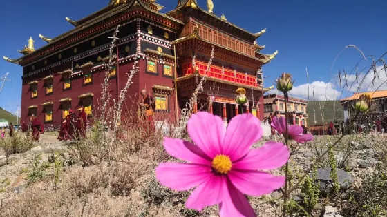 龍拉寺