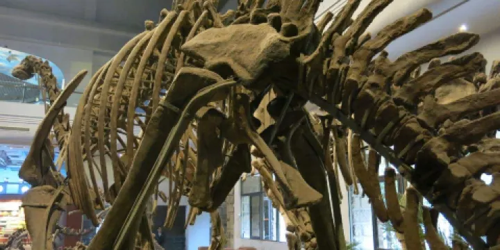 韶關恐龍博物館