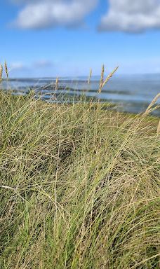 Morsum-Kliff-摩尔苏姆