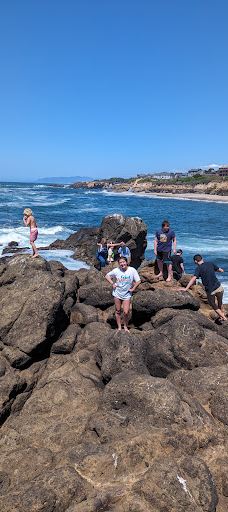 Fogarty Creek Beach-林肯县