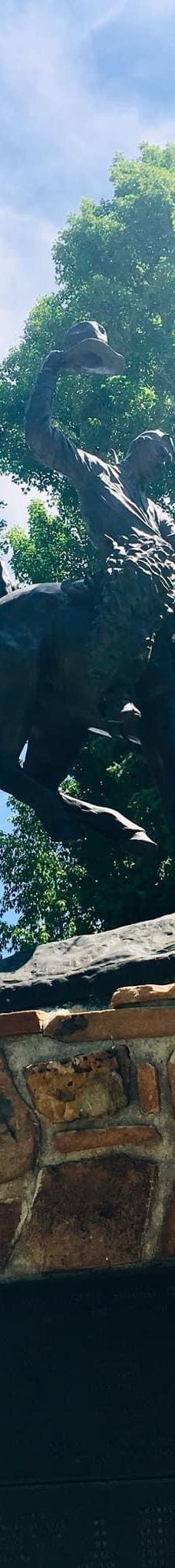 杰克逊鹿角公园-杰克逊