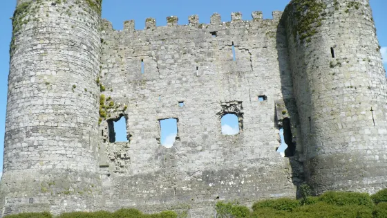 Carlow Castle