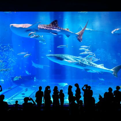 日本冲绳4日3晚跟团游