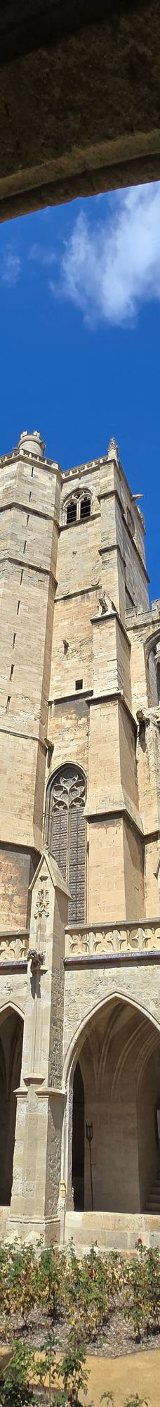 Narbonne Cathedral-纳巴达