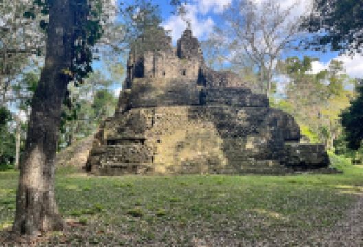 Ruinas de Uaxactun景点图片