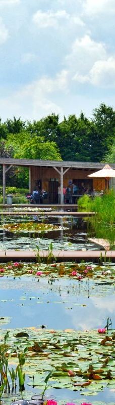 The Gardens of Appeltern-阿珀尔特伦