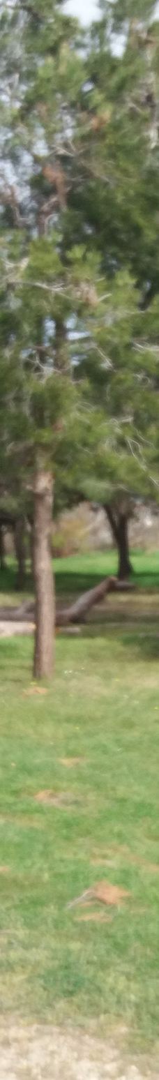 Domaine de la Palissade-阿尔勒