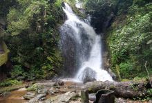 Erin Ijesha Waterfall (Olumirin Waterfalls)景点图片